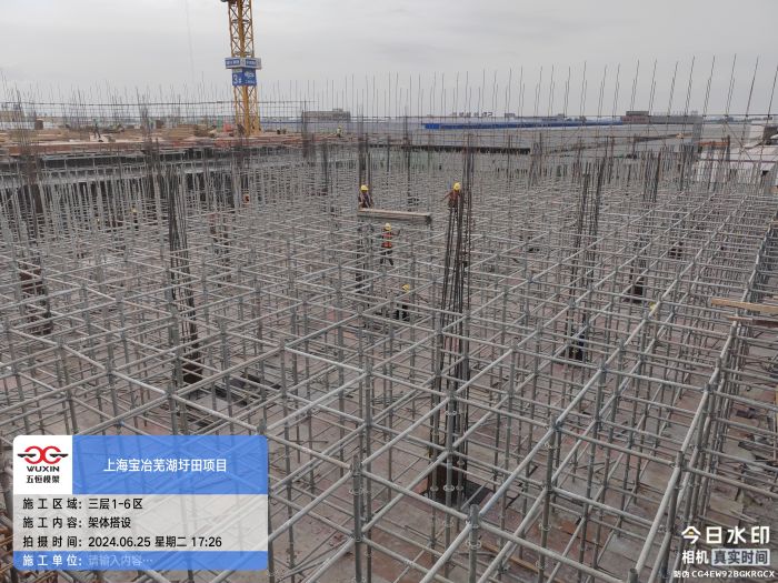 IMG_20240625_172625161.jpg IMG_20240625_172625161.jpg